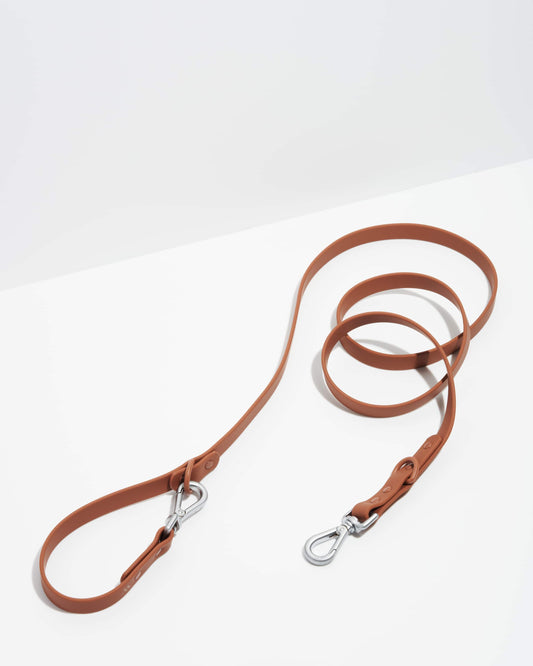 Leash