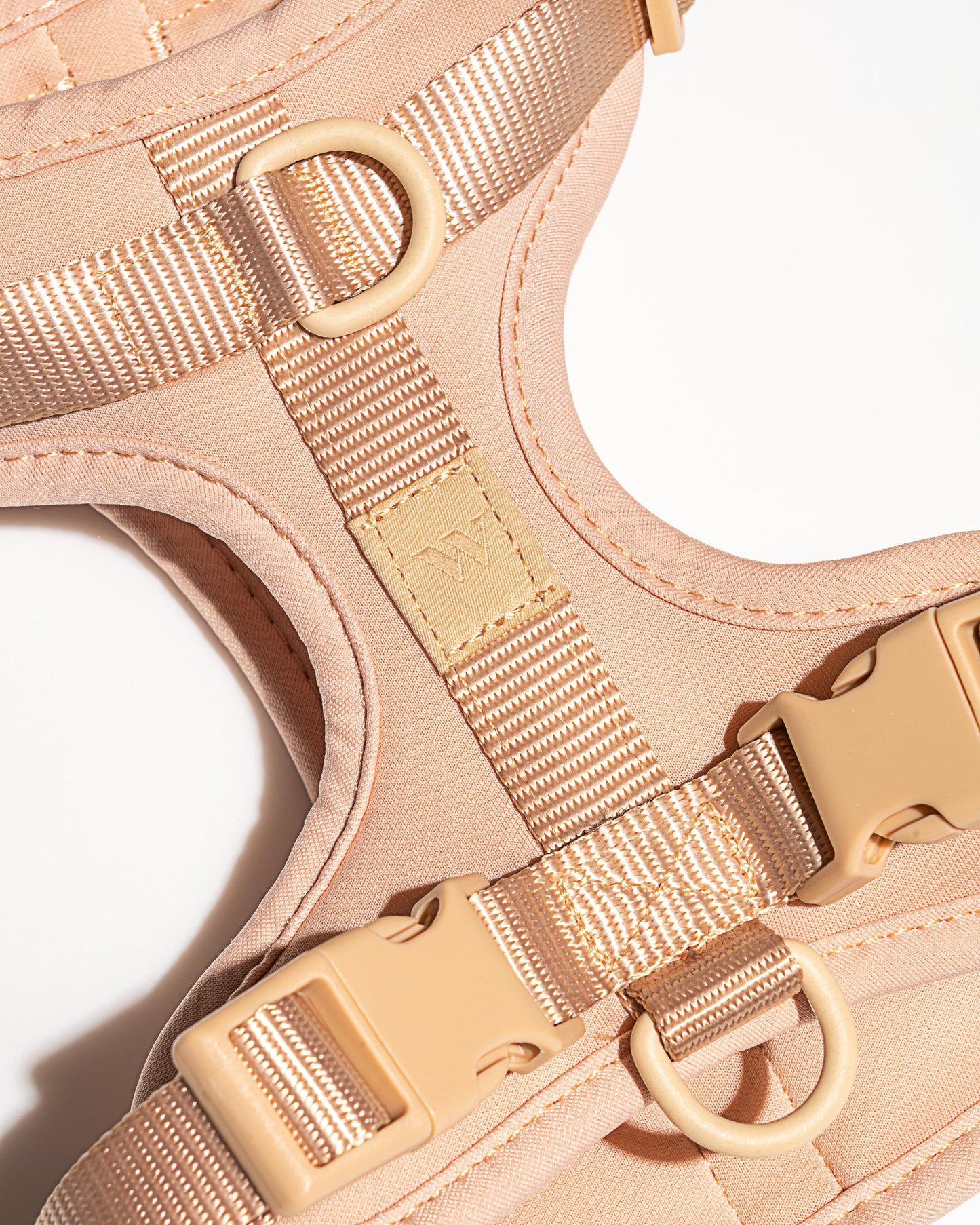 Harness