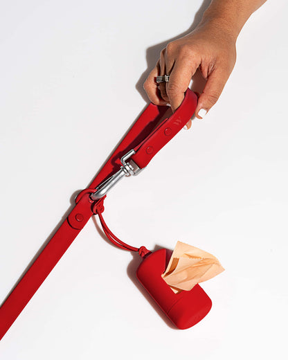 Leash