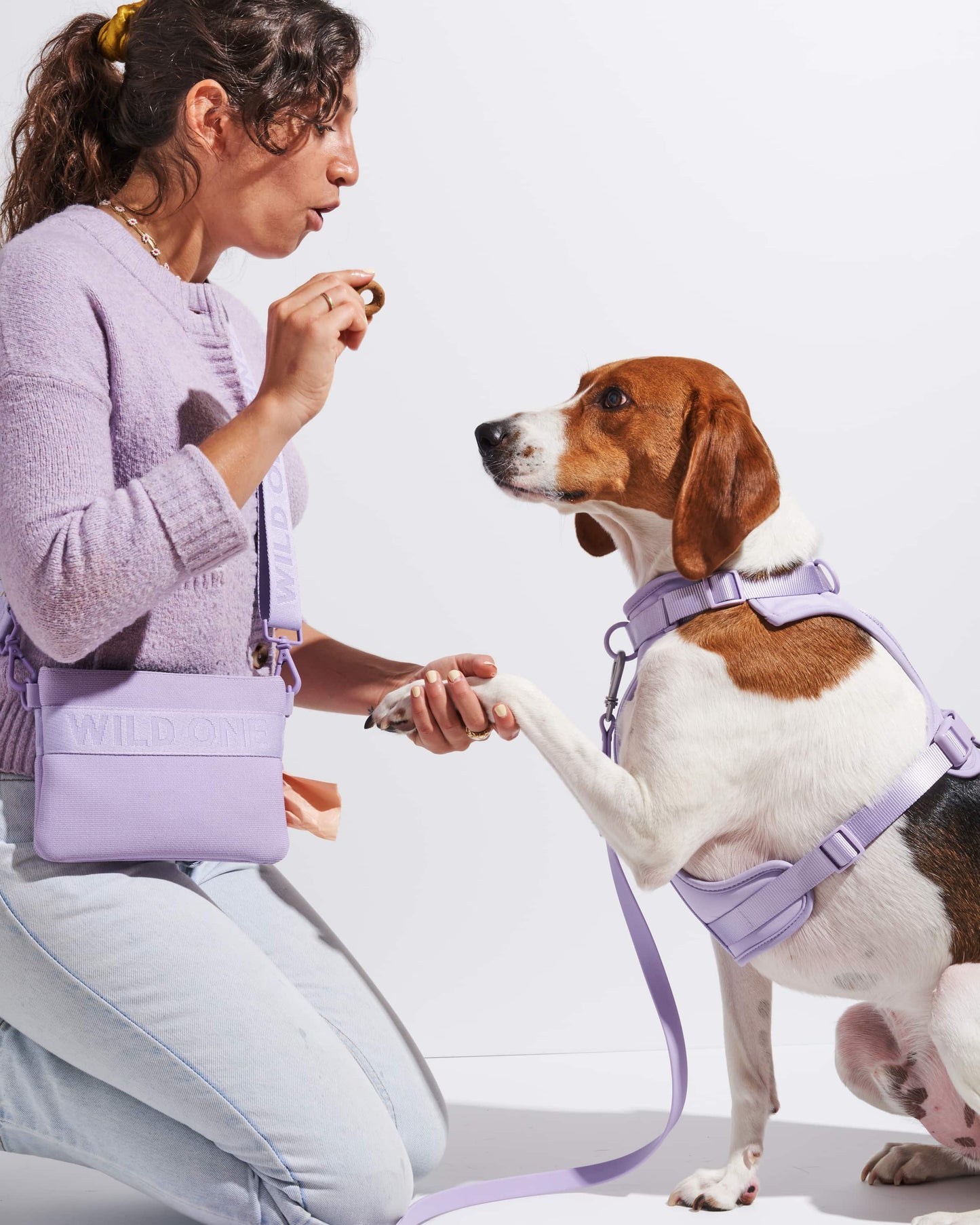Treat Pouch