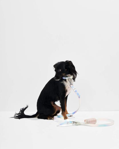 Leash