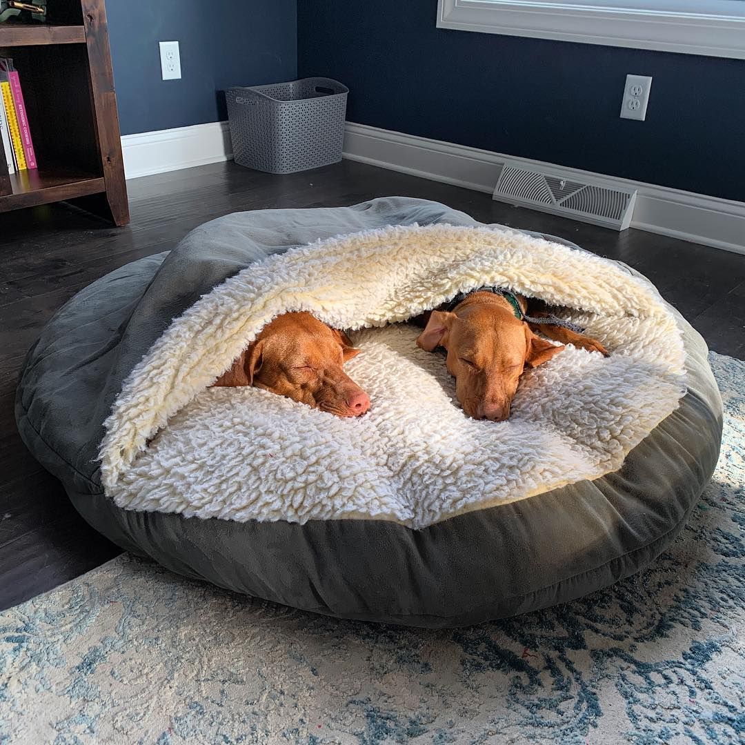 cozy cocoon - pet bed