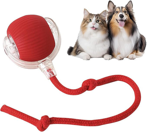 🔥Smart Chase Interactive Pet Ball-Pet Activity Toys&Pet Training Toys🐾