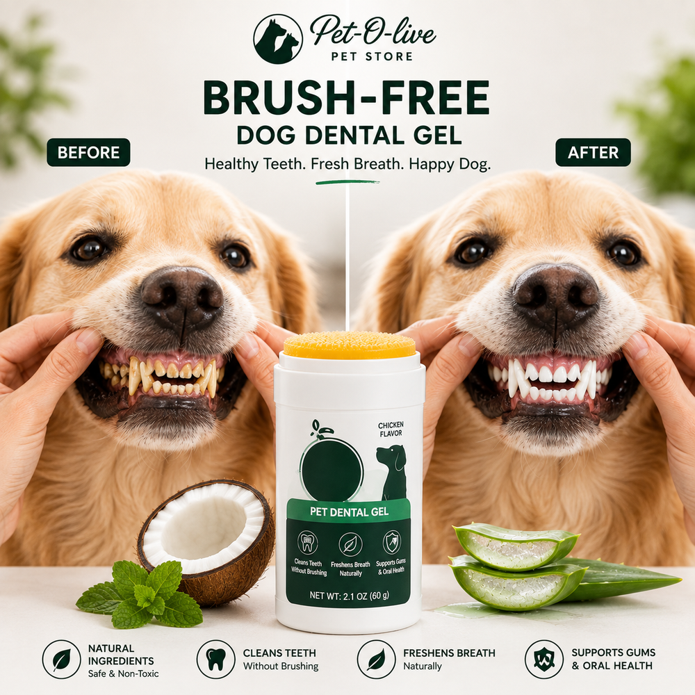 Brush-Free Dog Dental Gel - before after