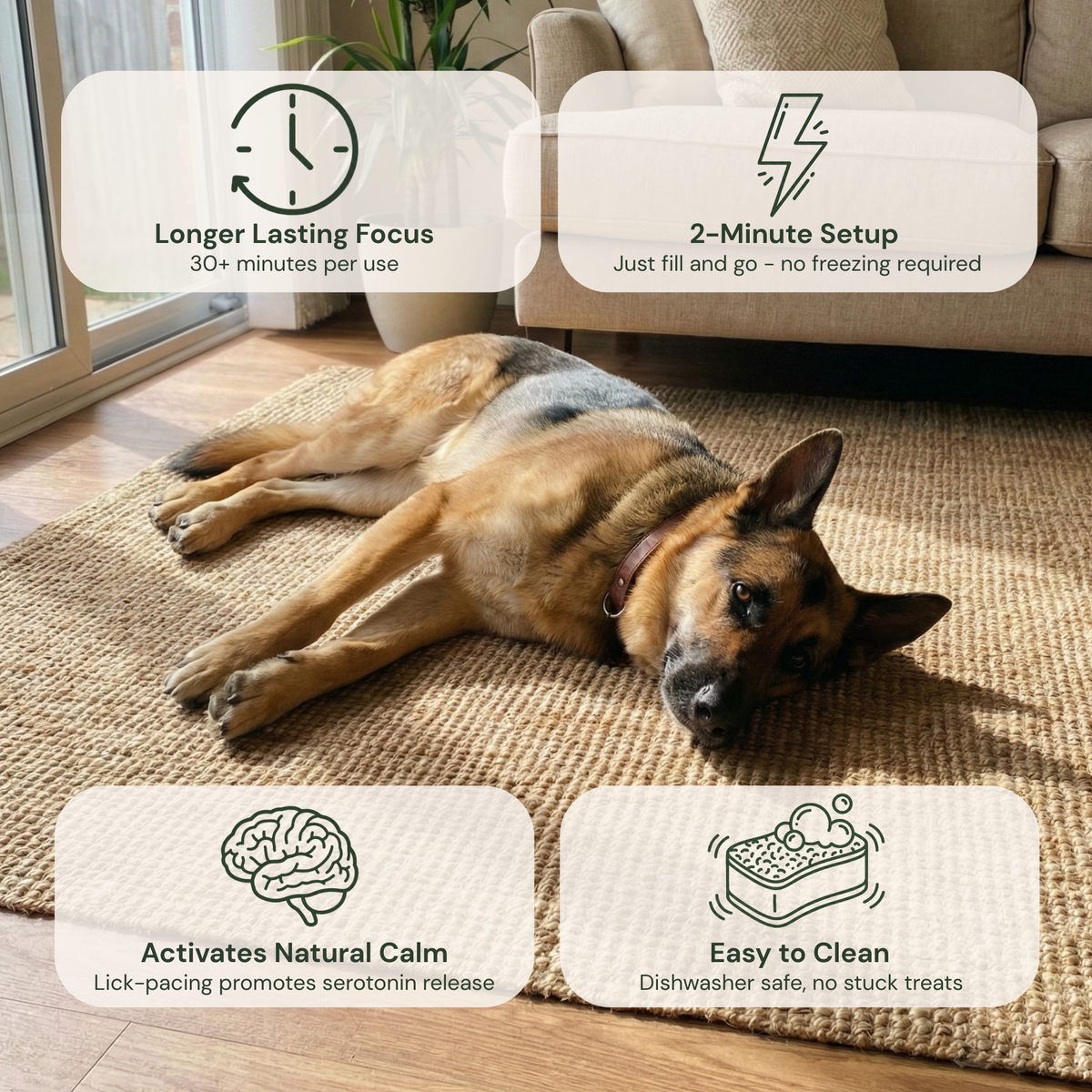 Lick-Pacing Calming Bowl