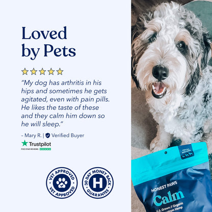 Calm CBD Bites Bundle