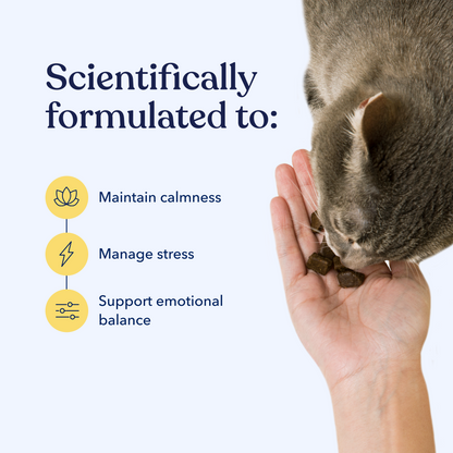 Calm Cat CBD Chews