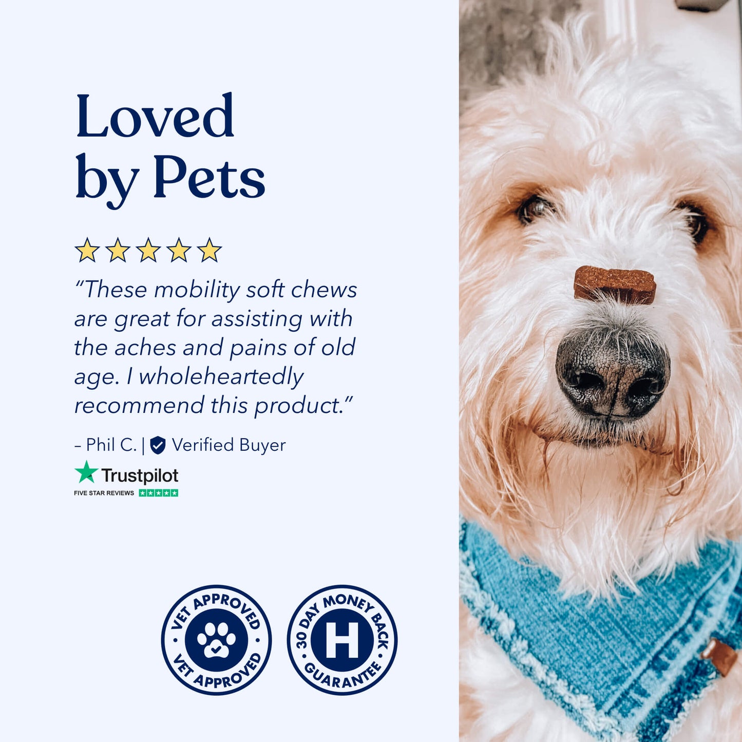 Mobility CBD Soft Chews