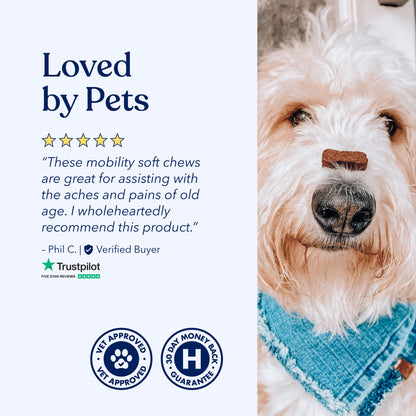 Mobility CBD Soft Chews