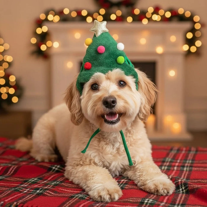 Christmas Santa Pet Outfit ( Hat + Scarf )