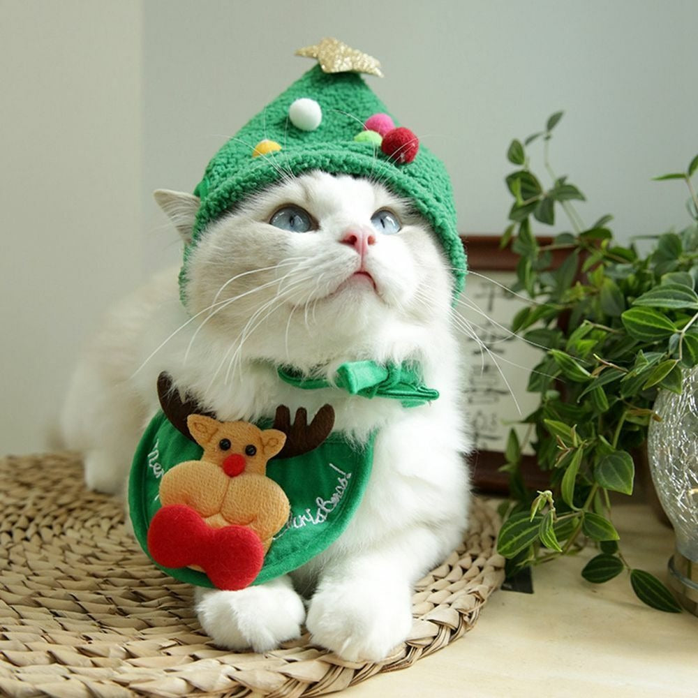 Christmas Santa Pet Outfit ( Hat + Scarf )