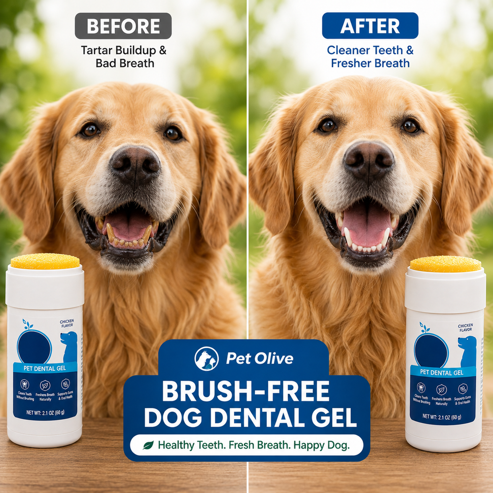 Brush-Free Dog Dental Gel - Last Section Image