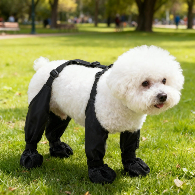 Waterproof Dog Shoes, Anti-Slip Paw Protection, Set of 4, image 2