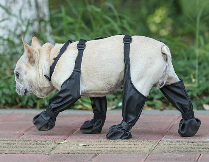 Waterproof Dog Shoes, Anti-Slip Paw Protection, Set of 4, image 8