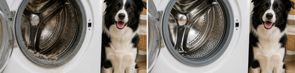 Washing Machine Cleaner Pro - with-dog-before-after-01