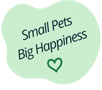 Small pets, big happiness