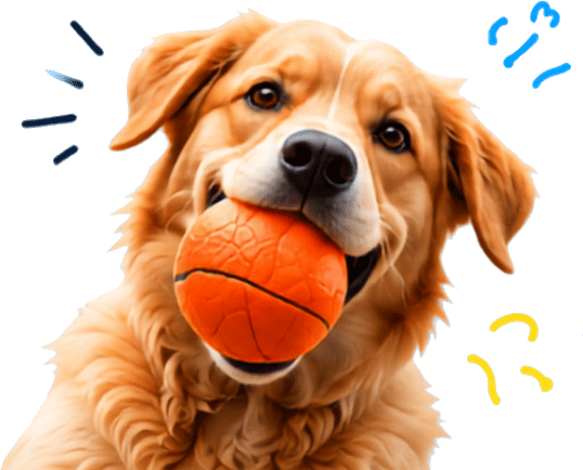 A golden retriever holding an orange ball