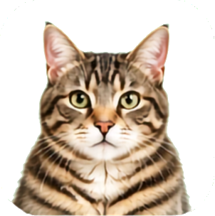 Cat Care